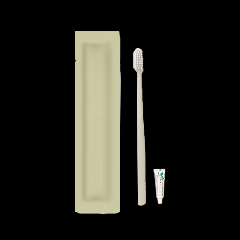 Hantian Gong Disposable Toothbrush & Toothpaste Set