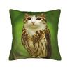 Surprised Meowl cat Owl Square Pillow Case  Cushion Cover Fashion Zipper Decor Throw Pillow Case Cover for Living Room 40*40cm