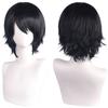 Fake Short Straight Synthetic Wigs Universal Anime Party Wigs Colorful Cosplay Wig Men Women