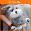 Dog Schnauze Plush Toy Cute Cartoon Short Pile Material Kids Play Gift Doll