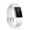 Fitbit Charge 2 Diamond Pattern Replacement Sport TPE Strap