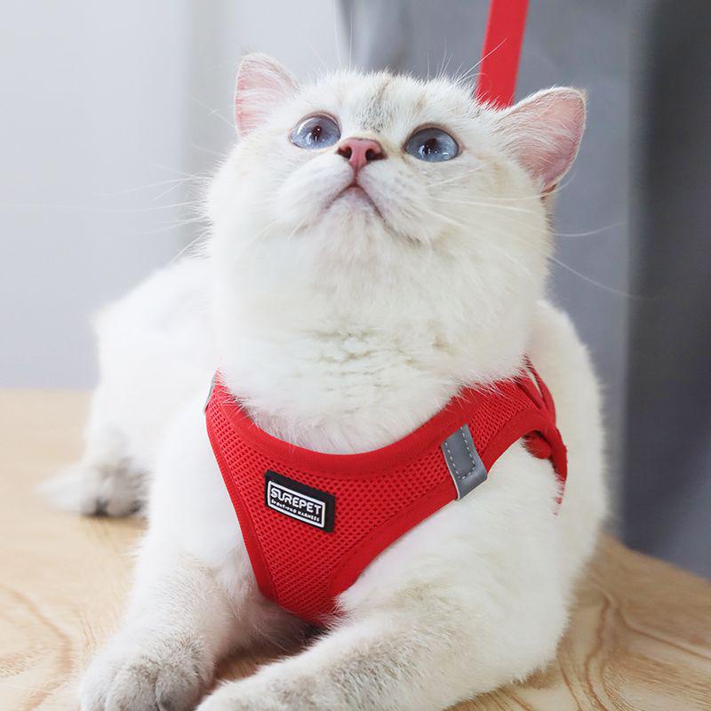 Escape-Proof Cat & Small Dog Harness Leash - Outdoor Walking Rope for Teddy & Bichon Frise