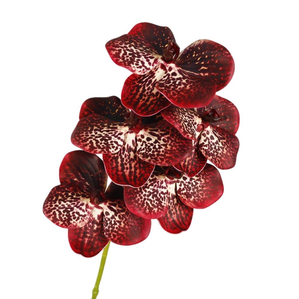 Echte Berührung Simulation Große Mottenorchidee Schmetterlingsorchidee Künstlicher Blumenast Lehrertag