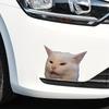 Funny Smudge The Grumpy White Cat Meme Stickers - Matte Vinyl Self-Adhesive Decals with Expressive Eyes for Cars,Laptops,Windows