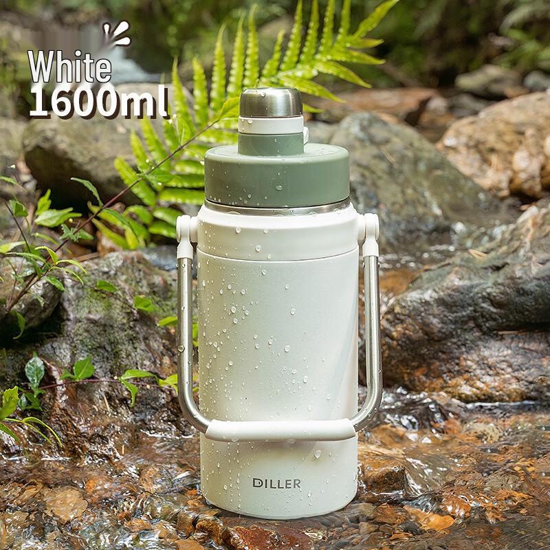 Diller Fanno Portable Insulated Bottle