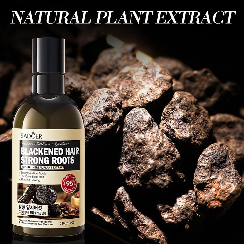 Polygonum multiflorum Ganoderma lucidum Šampon 250g Hydratační a zjemňující šampon