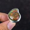 Ammolite In Ammonite Fossil Ring 925 Sterling Silver Ring Adjustable Ring Handmade Jewelry Beautiful Gemstone Ring Engagement Gifts for Wife