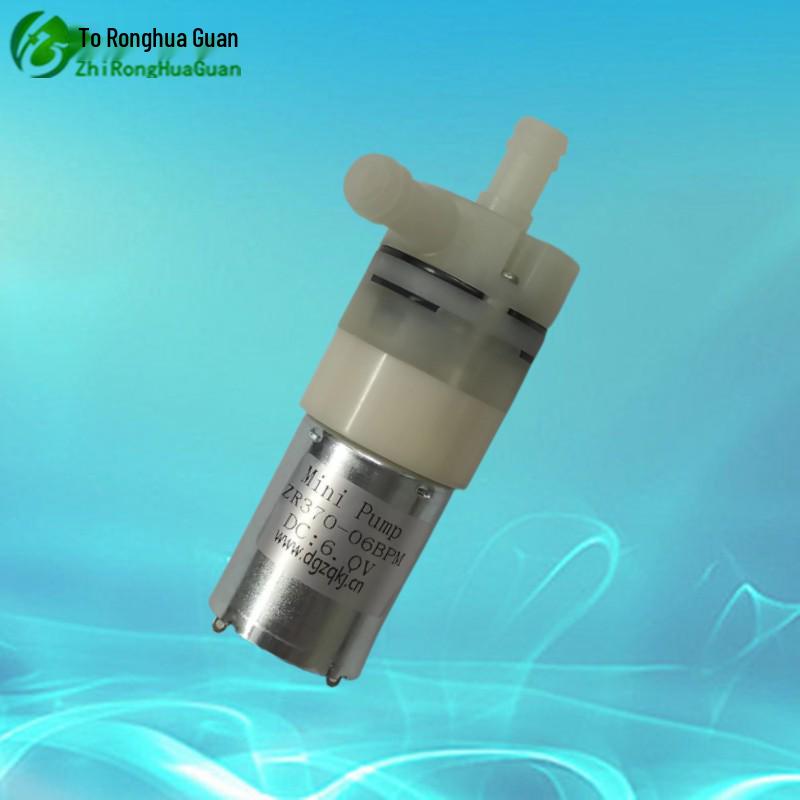 Ronghua Guan 12V/24V Mini Water/Vacuum Pump - Model 370