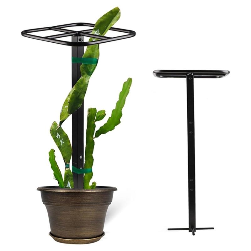 Durable Gardening Trellis System Vertical Growth Metal Plant Tower for Vertical Growth of Climbing Plant Dragon Fruit Cacti