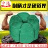 Zhongting Durable Nylon Braided Rope