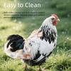 Cute Cute Pet Duck Diaper Reusable Wearable Goose Breast Strap Reduce Odor Adjustable Chicken Diapers Nappy Cloth