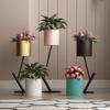 Nordic Iron Flower Stand Floor-Standing Plant Rack Creative Indoor Greenery Holder Luxury Living Room Display Shelf