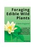 Libro Foraging Edible Wild Plants of New England : A Guide To Identifying, Harvesting, and Preparing 90 Wild Plants