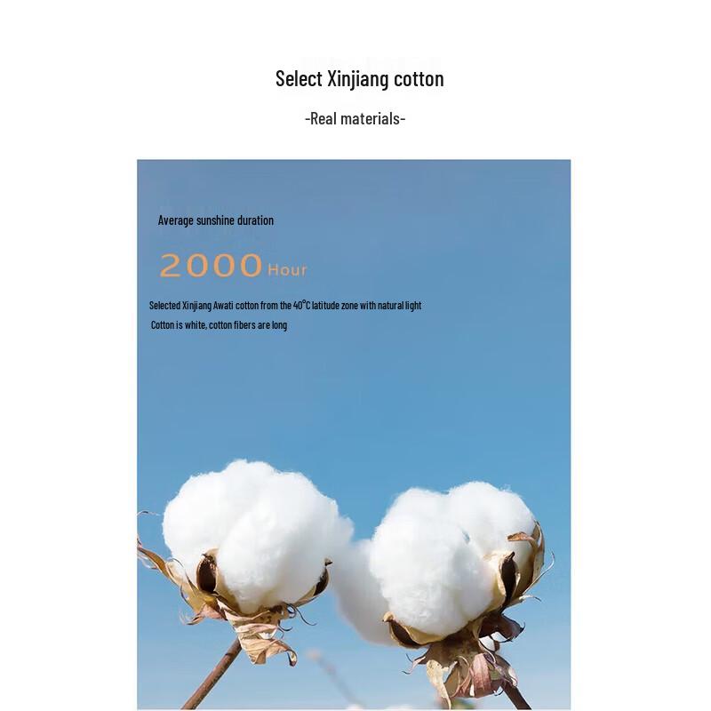 Muji Xinjiang Pure Cotton Quilt