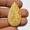Natural Fossil Coral Gemstone Cabochon, Top Quality Indonesians Fossil Coral Cabochon Craft Supply 35 Carats Pear Shape, Jewelry Making