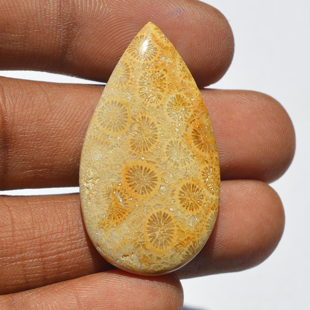 Natural Fossil Coral Gemstone Cabochon, Top Quality Indonesians Fossil Coral Cabochon Craft Supply 35 Carats Pear Shape, Jewelry Making