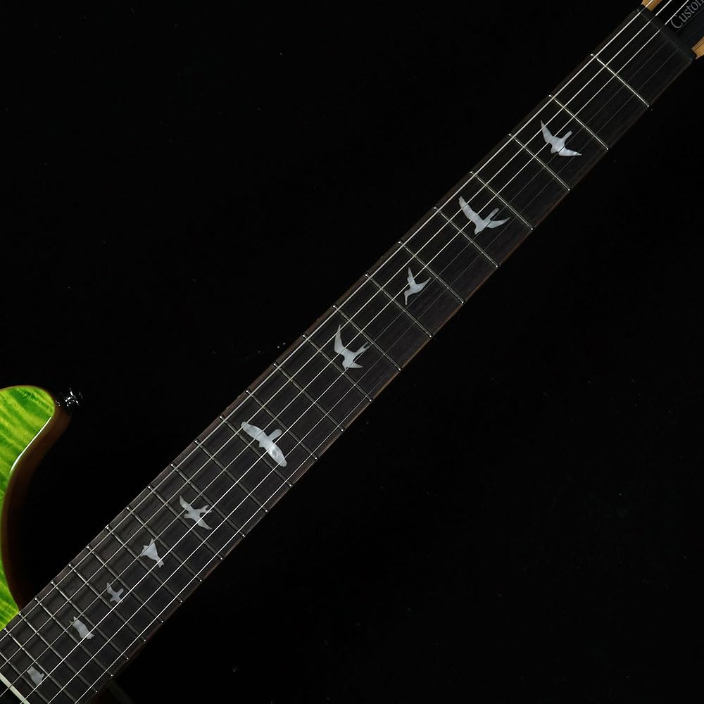 SE Custom24 Eriza Verde