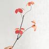 Artificial Fall Leaves Stems Realitic Faux Branches with Leaves for Vase Fake Plants Picks for Home Table Autumn Festival Thanksgiving Christmas Decor