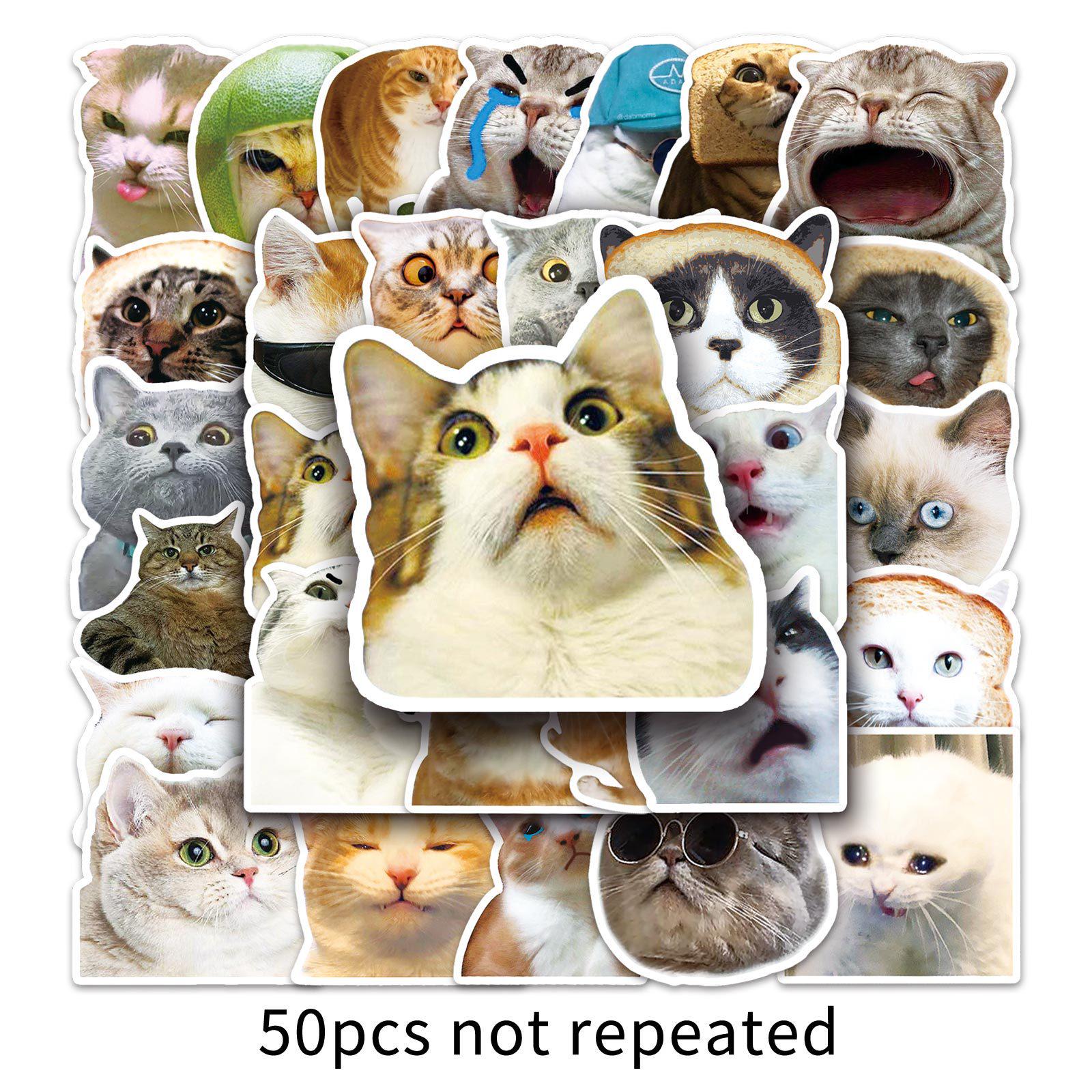 

50-Pack Popular Cat Emoji Graffiti Stickers for Skateboards, Water Bottles, and Luggage