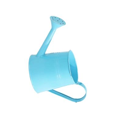 Gießkanne aus Metall zum Gießen von Pflanzen Gießkanne für drinnen und draußen Hochzeit Gartenarbeit Gießkanne mit ergonomischem Griff