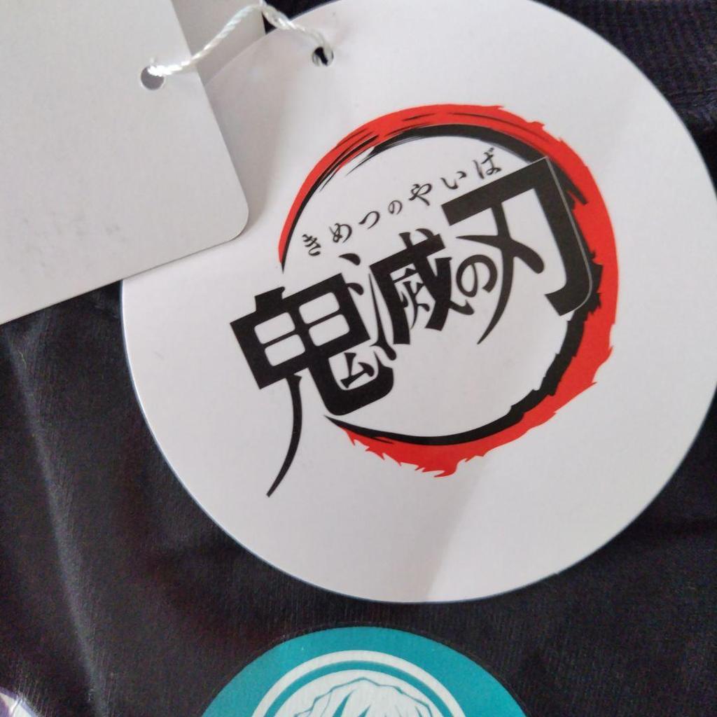 [USED] Demon Slayer: Kimetsu No Yaiba Hashira Women's T-Shirt LL Hashira