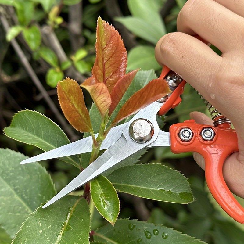 One Piece of Branch Trimming Scissors, Suitable for Gardening, Warehouse Tidying, And Household Flower Cutting