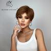 BLONDE UNICORN 8 inch Short Straight Hair Wigs for Women Ladies Ombre Brown Heat Resistant Synthetic Wigs