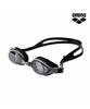Alena Fast Goggles A6Ac2Ag02Slv