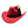 Western Cowboy Hat Feather Woolen Jazz Cylinder Hat Men And Women Ethnic Style Filcowy kapelusz Duży okap kapelusz