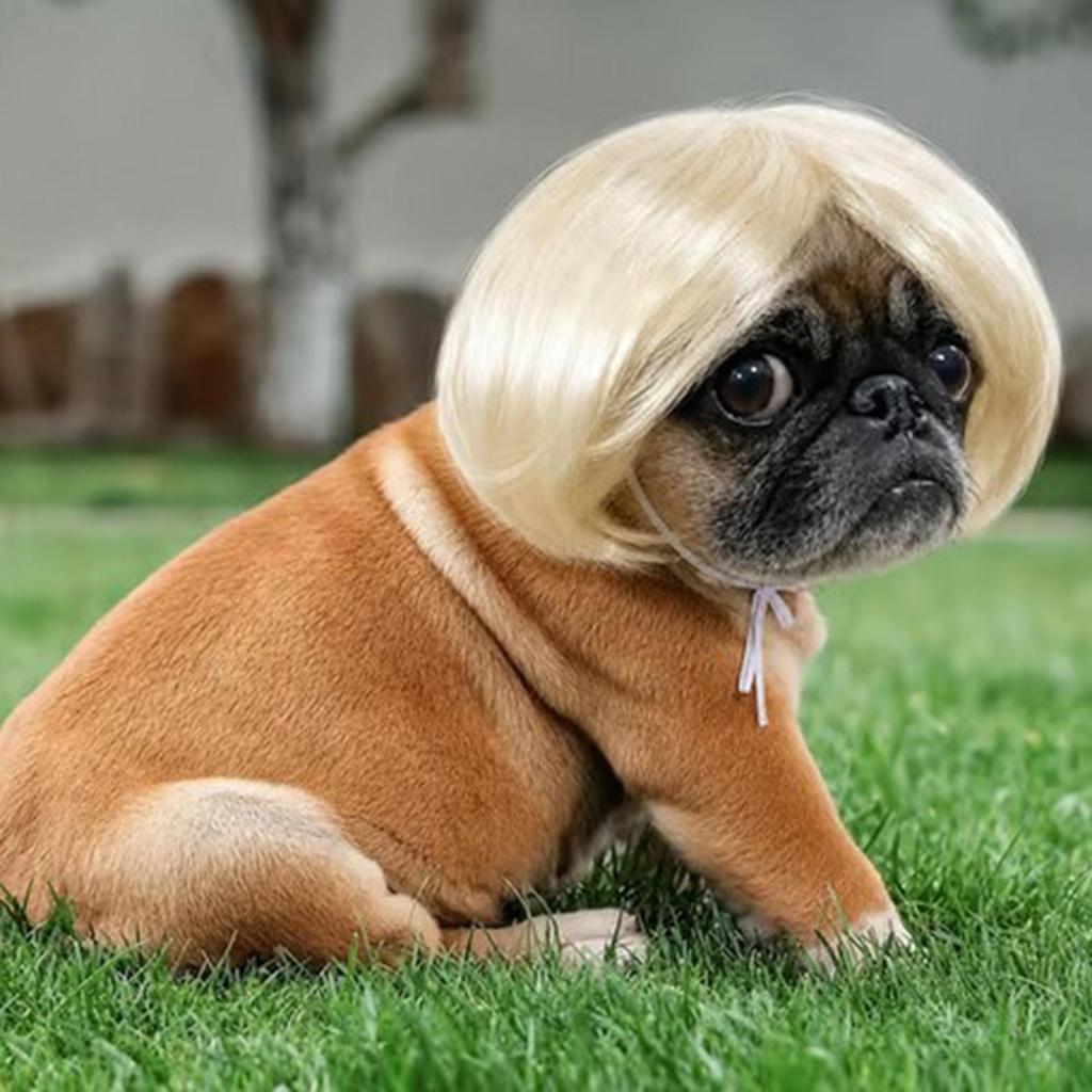Pet Wig Dog Wig Funny Pet Wig Halloween Pet Accessories Curly Hair Straight Hair Cat Wig It Can Be DIY Trimmed Pet Supplies