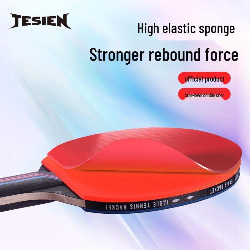 TESIEN Professional Table Tennis Racket