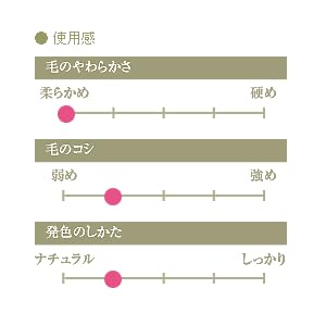 Authentic Kumano Brush Chikuhodo Silver Fox Powder Brush with Black Handle (R-P8) Hiroshima Regular Series Makeup Brush CHIKUHODO (Black)