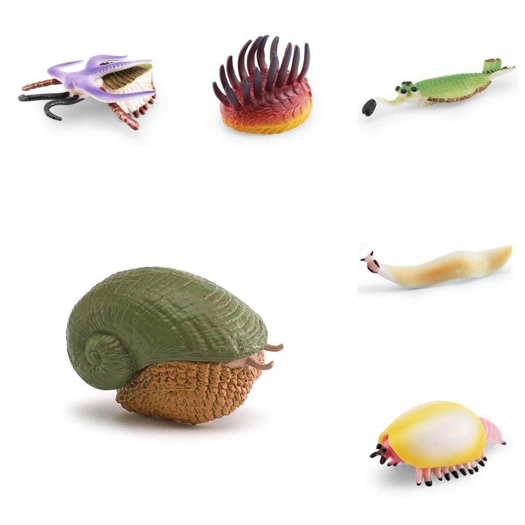 Marine Animal Pvc Model Set With Realistic Detail For Educational Display And Collection