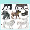 Detailed Animal Figurines Including African Lions Ferrets Monkeys And More