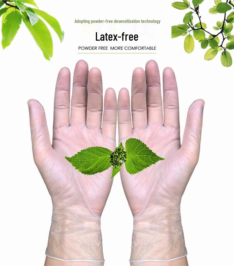 Manlong Powder-Free Transparent PVC Gloves for Beauty, Hairdressing, Tattoo, and Baking