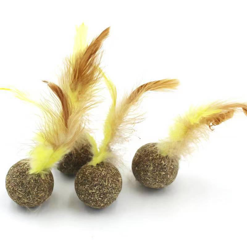 Feather Cat Toy Stick with Mint Ball and Colorful Mouse - Self-entertainment Cat Toy Supply