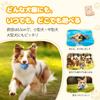 Serviteur Dog Toy Ball Set of 3 Sturdy Large Dog Dog Ball Dog Chew Toy Puppy Pet Educational Toy Safe Material Small Dog Dental Care Throw Unbreakable