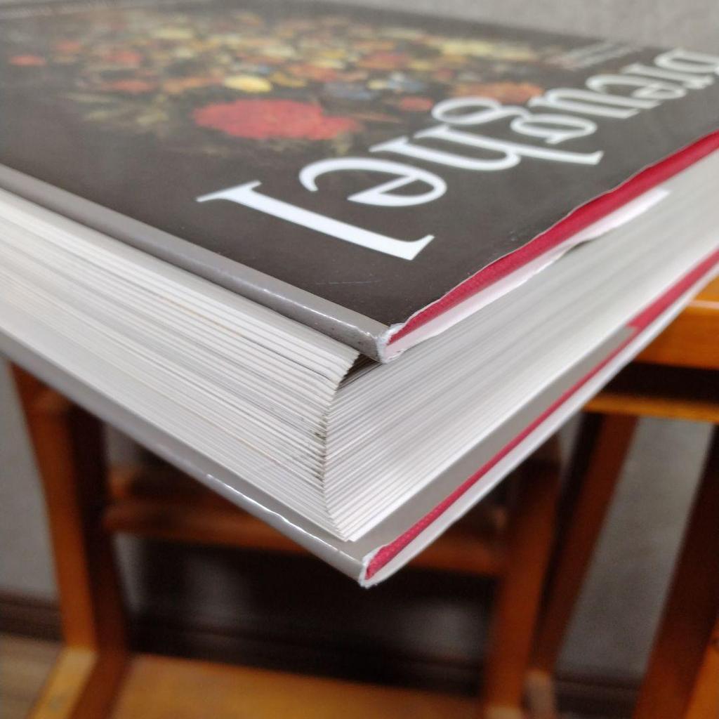 [USED] Pieter Breughel Books German Edition Art Arts