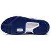 Nike Kd 14 Tb 'Game Royal' DA7850-400