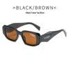 Gafas de Sol Irregulares de Pierna Ancha Estilo Callejero Europeo-Americano para Hombres y Mujeres - Modelo 8679