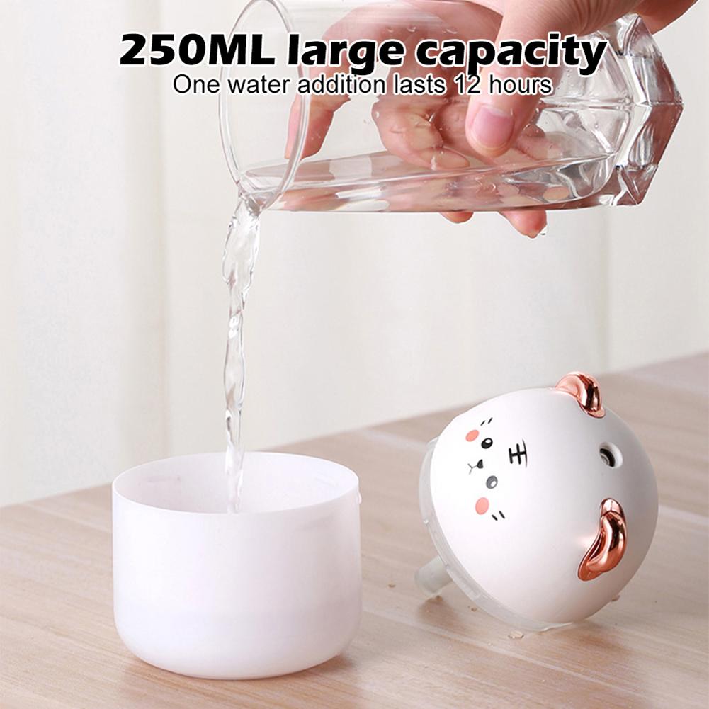 Mini Humidifier With Colorful Night Light 250ml Large Capacity Home Desktop Cool Mist Aroma Diffuser Purifier