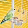 Parrots Food Bowl Acrylic and Sainlessed Steel Parakeet Food Container Anti Spill Design for Home and Bird Enthusiasts
