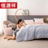 Hengyuanxiang Mengsiyu All-Season Polyester Fiber Pillow Quilt