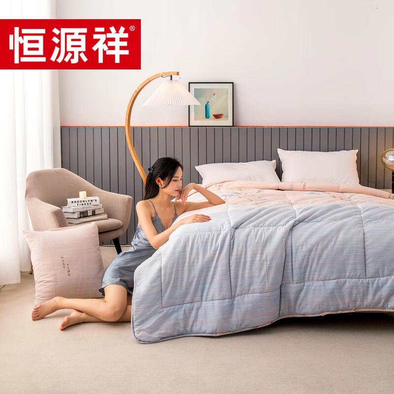 Hengyuanxiang Mengsiyu All-Season Polyester Fiber Pillow Quilt
