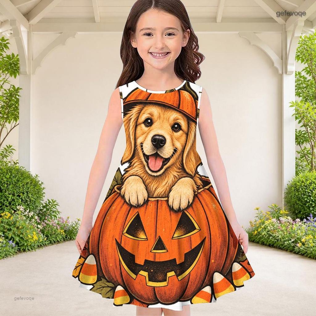 Girls Round Neck Sleeveless A Line Flared Hem Dress Halloween Raccoon Pumpkin Printed
