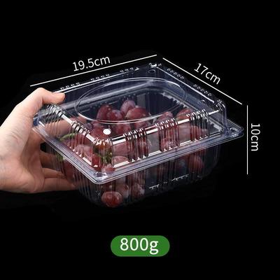 Disposable Transparent Fruit and Vegetable Containers with Lids