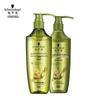 Ginger Essence Anti-Dandruff & Oil Control Hair Care Set