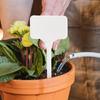 Garden Plant Labels 100-Pieces Seedling Name Labels T-Type Nursery Marker Sign Writable Plant Marking Stakes For Greenhouses