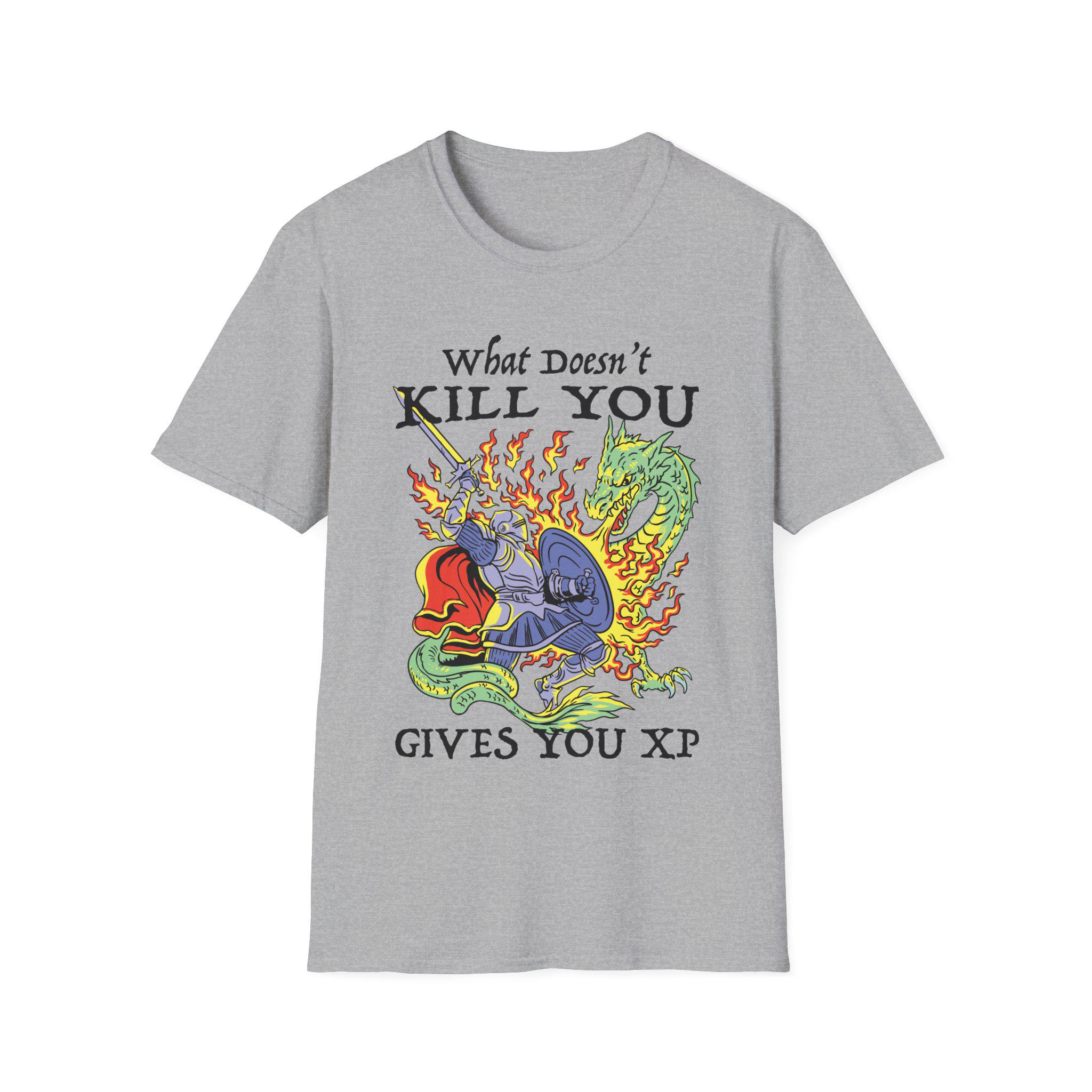 

What Doesnt Kill You Gives You Experience Points Tshirt An Interesting Dungeons Dragons Tshirt 4XL