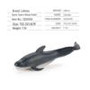 Children's Marine Animal Model Set: Mini Whale, Shark, Dolphin, Turtle, Sea Lion